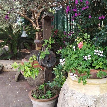 Il Casale Del Cortonese Apartment ซัสซารี ภายนอก รูปภาพ