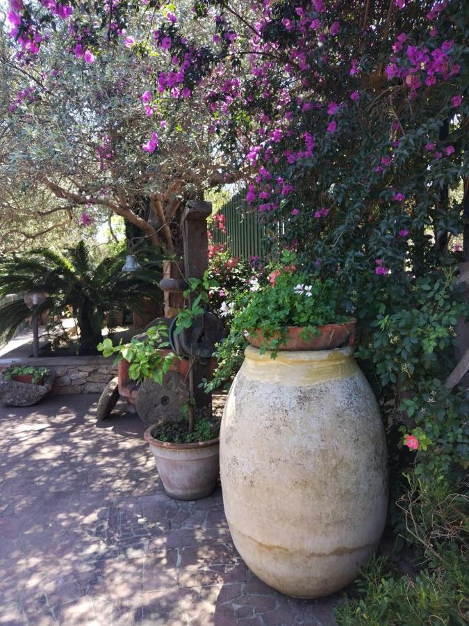 Il Casale Del Cortonese Apartment ซัสซารี ภายนอก รูปภาพ
