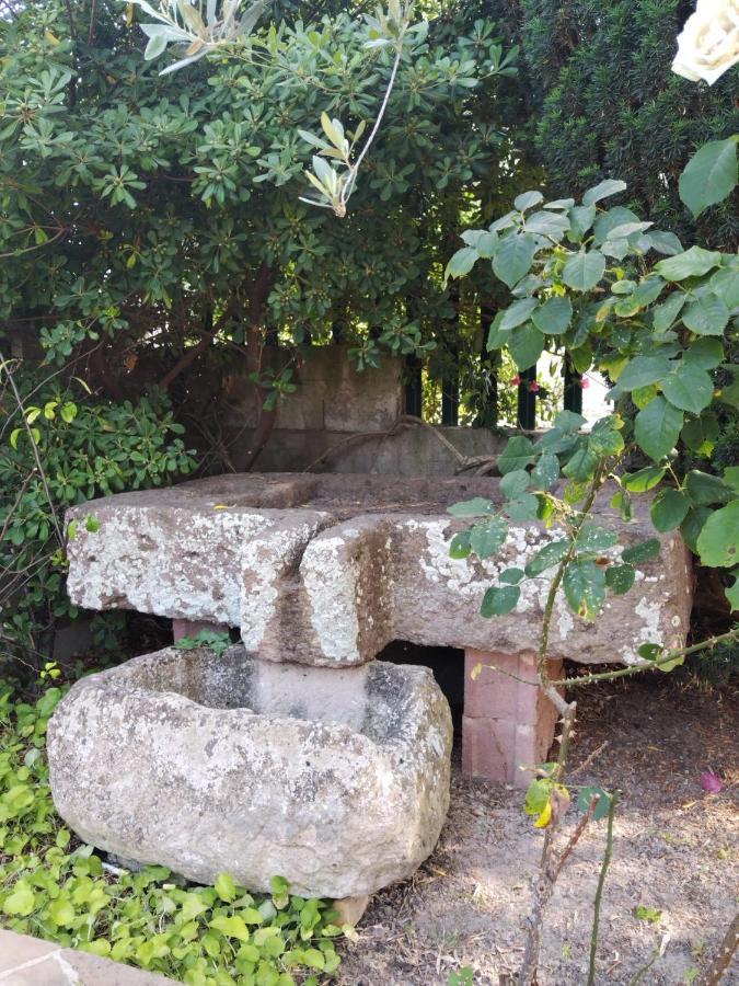 Il Casale Del Cortonese Apartment ซัสซารี ภายนอก รูปภาพ